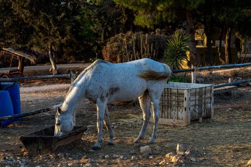 WhatsApp Image 2025 10 19 At 11.18.18