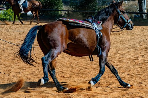 Zoltan Tasi VHnVtLK8rCc Unsplash