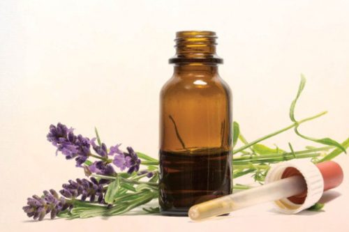 אילת חן אדני'ה הרפי ודעי